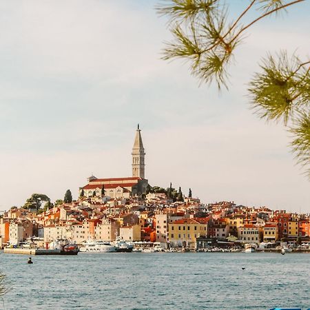 Summer Dream, Center Of Rovinj Exteriör bild